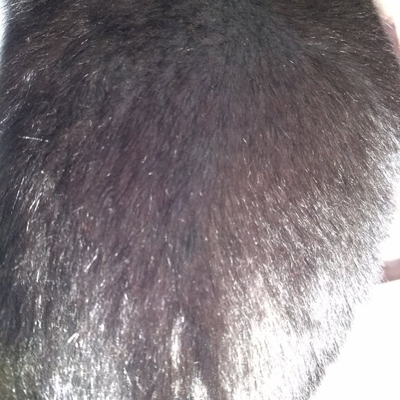 NWOT Fox Fur Collar/Scarf - Picture 3 of 5